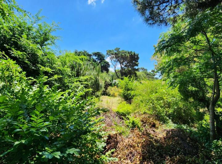 Terreno · 683m²