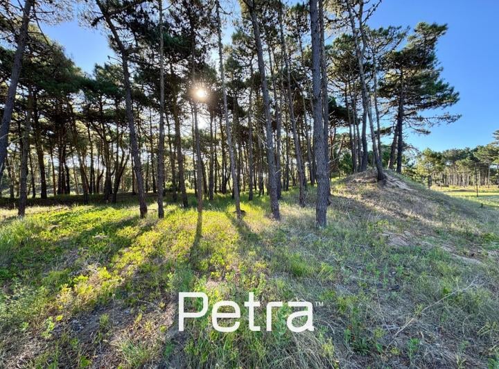 Terreno · 1100m²