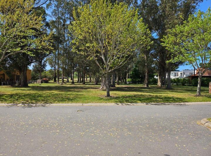 Terreno · 974m²