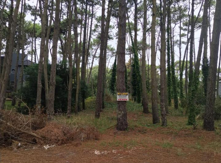 Terreno · 619m²