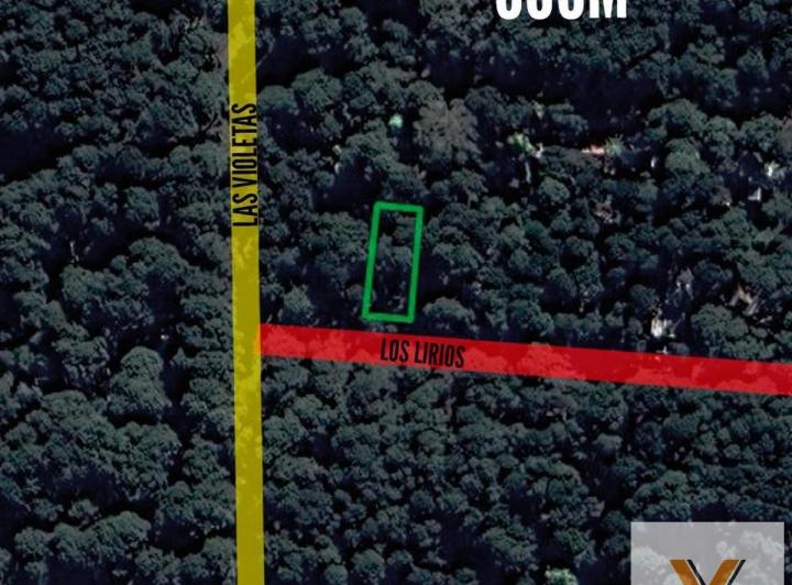 Terreno · 555m²