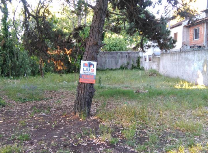 Terreno · 300m²