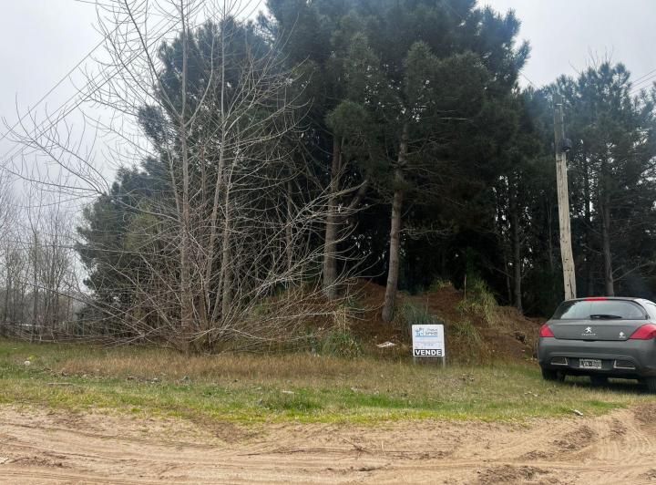 Terreno · 995m²