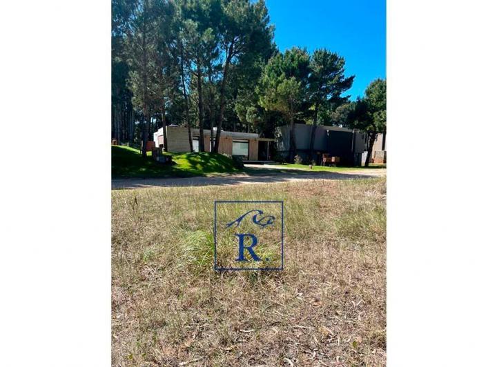 Terreno · 1000m²