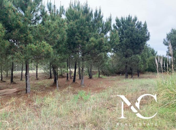 Terreno · 1179m²