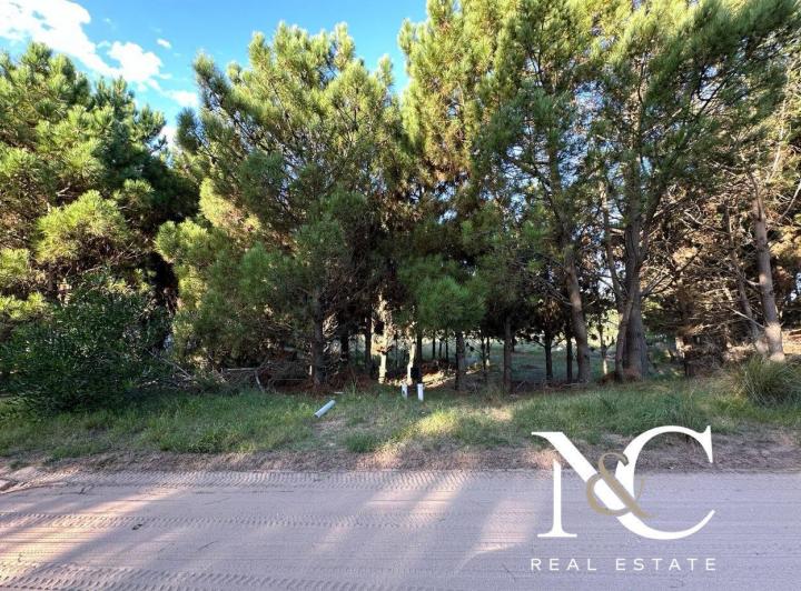 Terreno · 1035m²