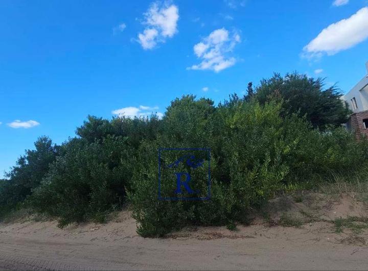 Terreno · 84939m²