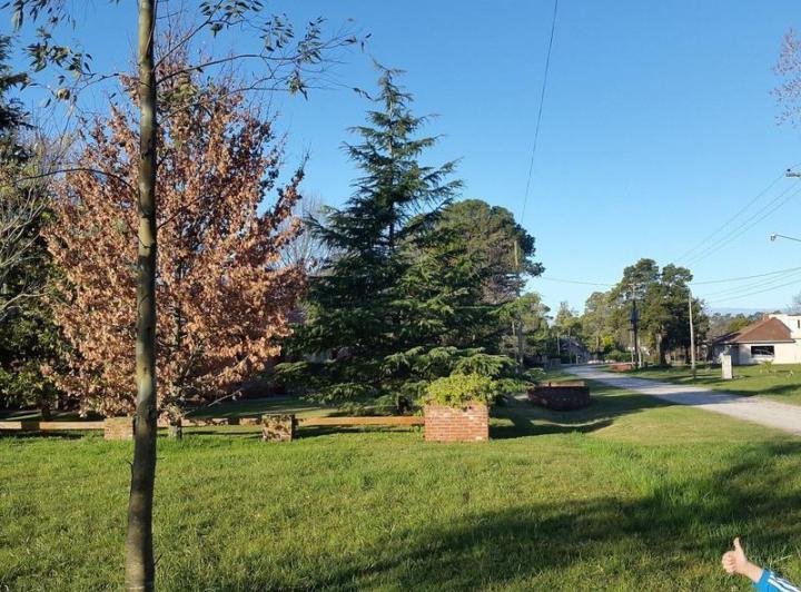 Terreno · 1360m² · 1 Ambiente