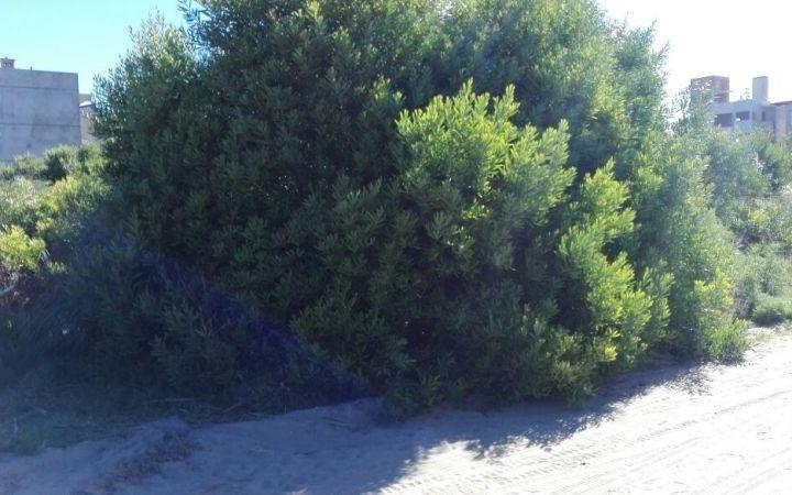 Terreno · 3150m²