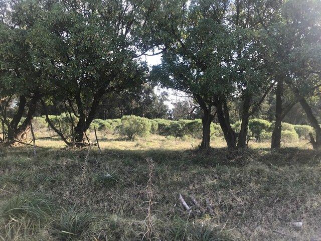 Terreno · 300m²