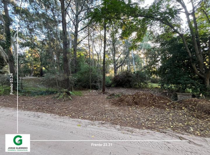 Terreno · 1133m²