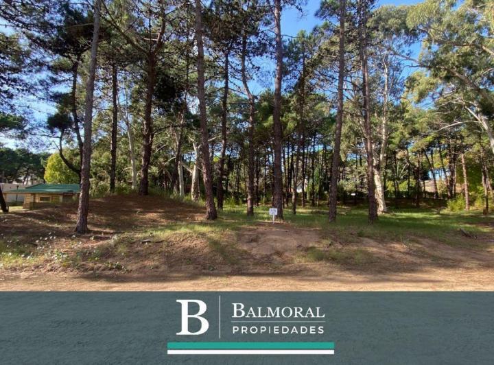 Terreno · 1095m²