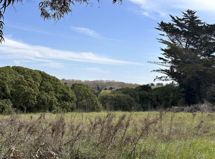 Terreno · 800m²