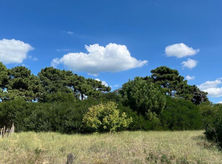 Terreno · 633m²