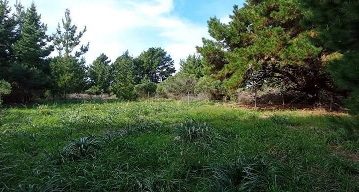 Terreno · 1m²