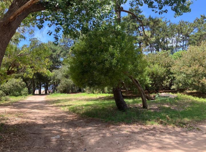 Terreno · 1659m²