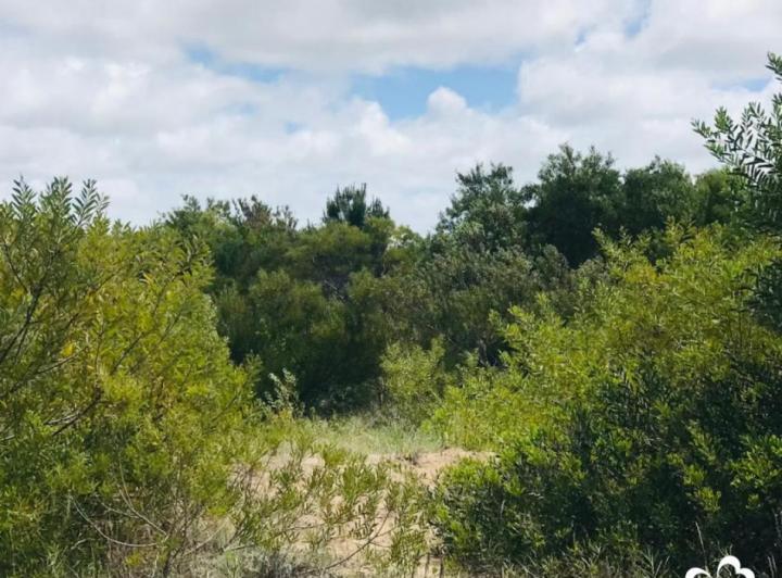 Terreno · 940m²