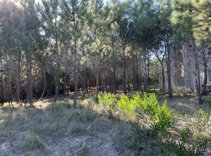Terreno · 957m²