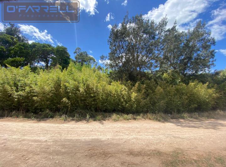 Terreno · 1575m²
