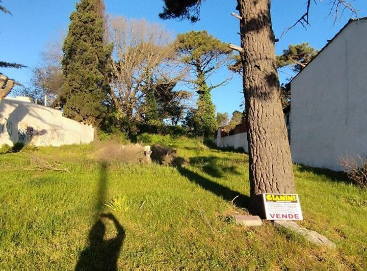 Terreno · 2430m²