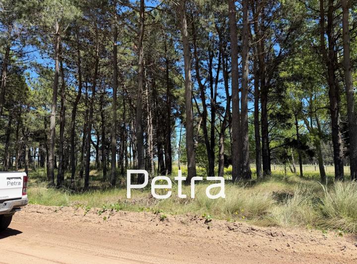 Terreno · 972m²