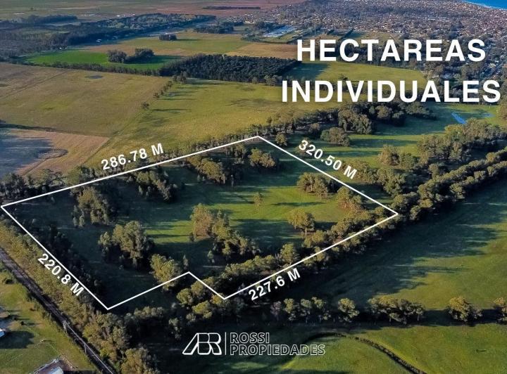 Terreno · 10000m²