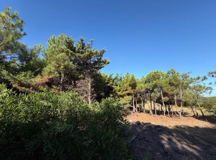 Terreno · 1500m²