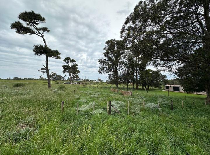 Terreno · 480m²