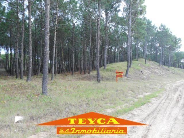 Terreno · 1070m²