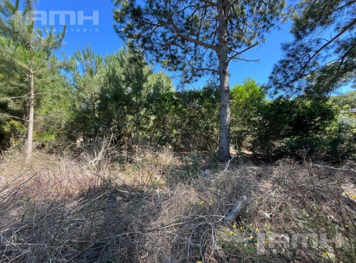 Terreno · 737m²