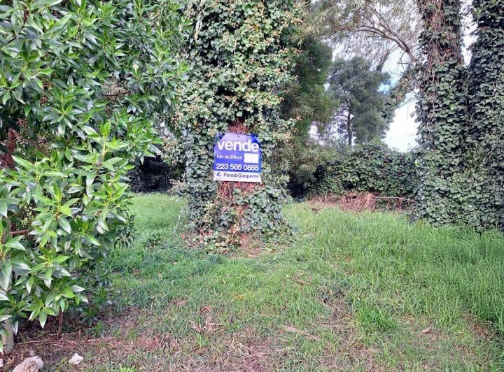 Terreno · 279m²