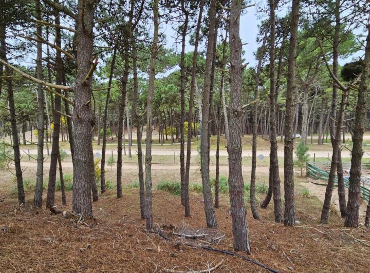 Terreno · 887m²