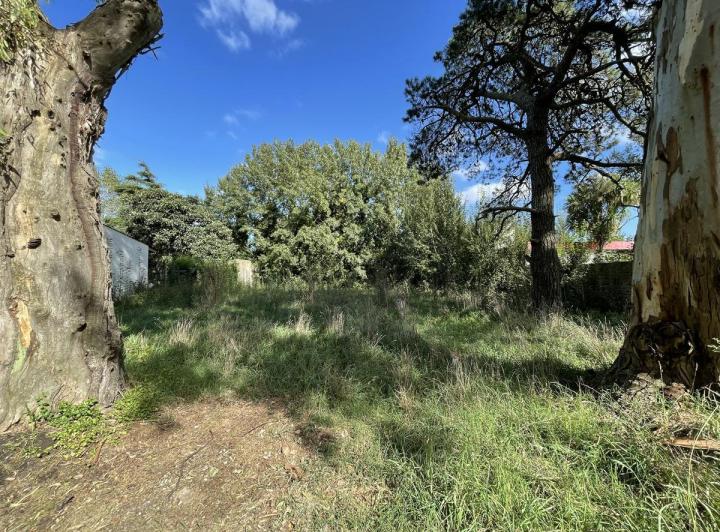 Terreno · 596m²