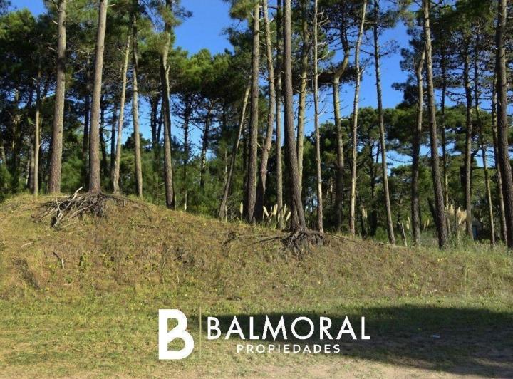 Terreno · 1134m²