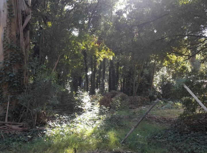 Terreno · 779m²