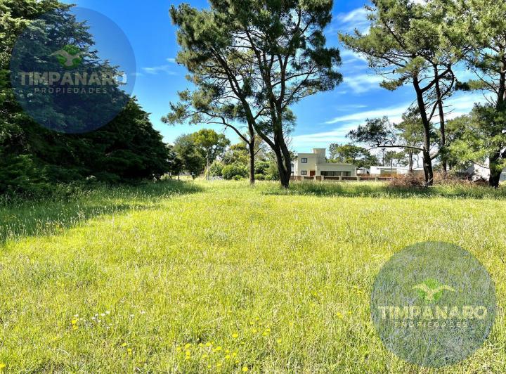 Terreno · 437m²