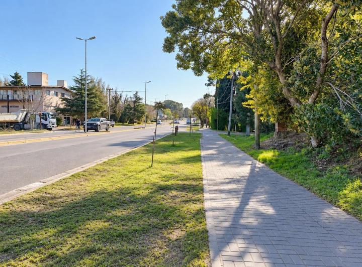 Terreno · 425m²