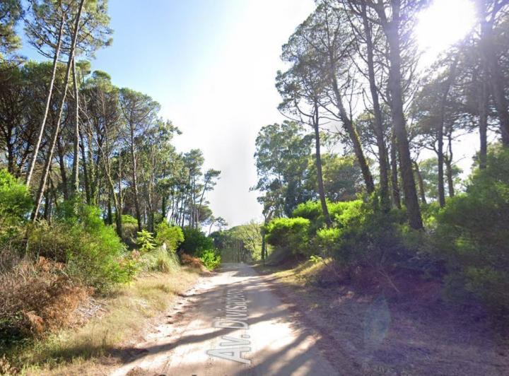 Terreno · 1238m²