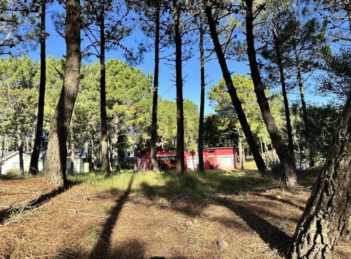 Terreno · 1095m²