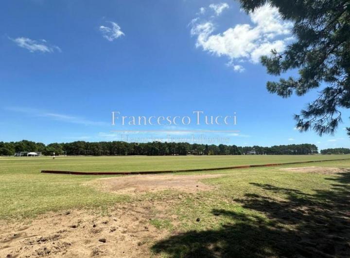 Terreno · 1571m²