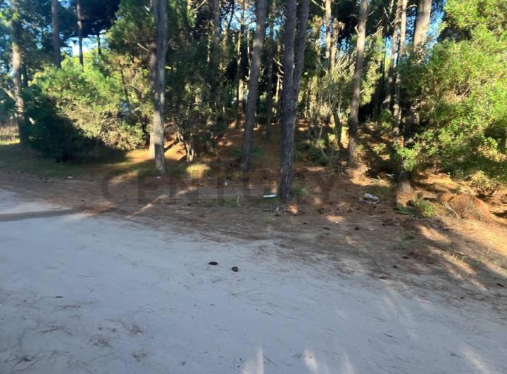 Terreno · 1134m²
