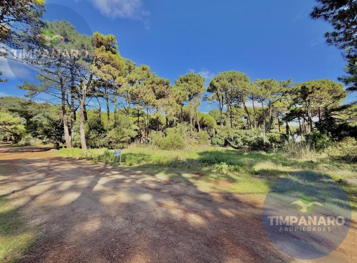 Terreno · 631m²