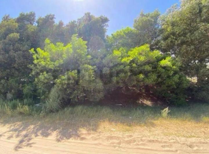 Terreno · 1007m²