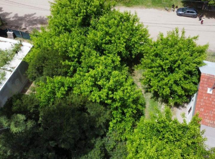 Terreno · 391m²
