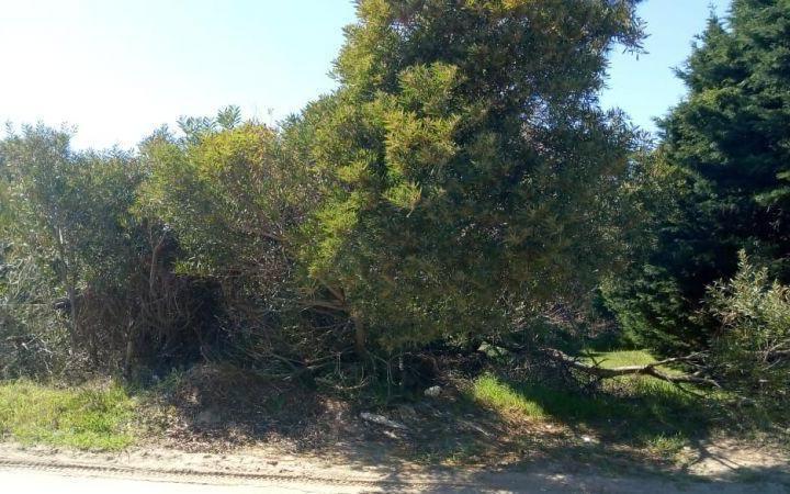 Terreno · 2652m²
