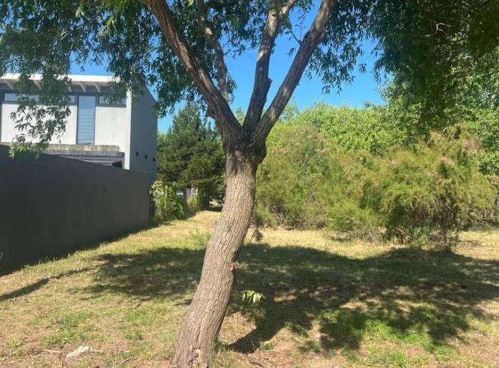 Terreno · 800m²