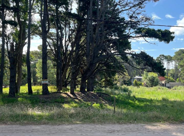 Terreno · 7715m²