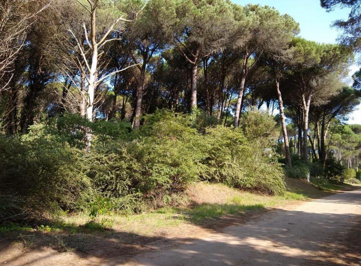 Terreno · 968m²