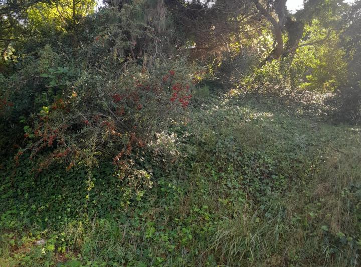 Terreno · 1m²
