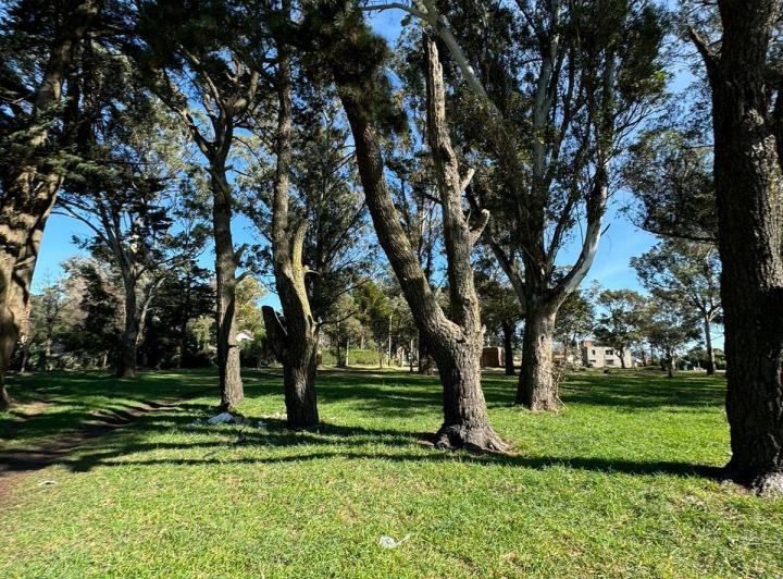 Terreno · 800m²
